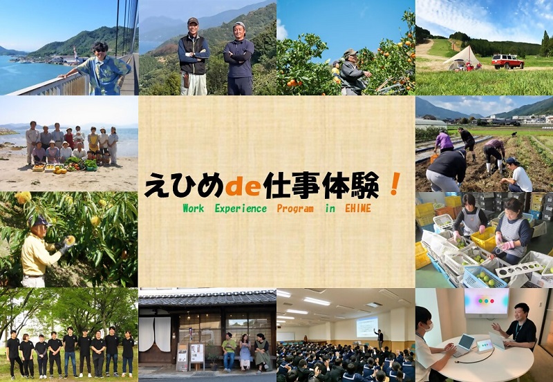 【10組限定】えひめde仕事体験! | 移住関連イベント情報