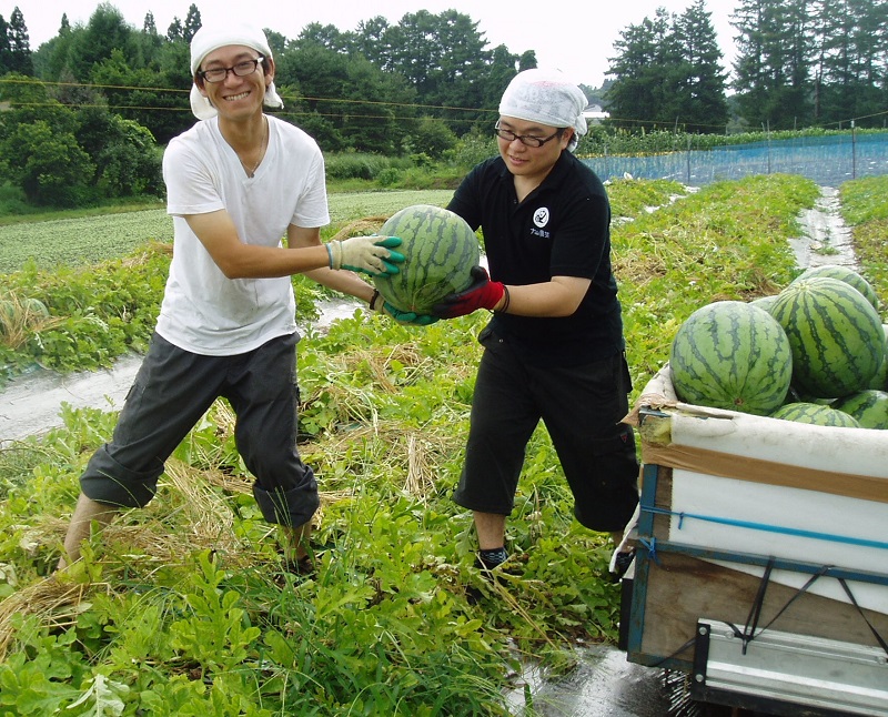 ~尾花沢市での新規就農を目指して~ 第3回スイカづくり体験会 | 移住関連イベント情報