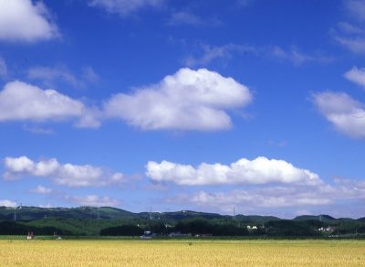 大崎市で地域おこし！メンバー募集！「デジタル活用支援」 | 地域のトピックス