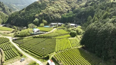 【那智勝浦町】住民の２人に１人が移住者！色川地区の魅力 | 地域のトピックス