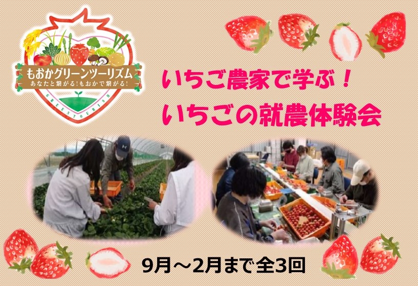 【真岡市】いちご農家で農業体験会を開催します! | 地域のトピックス