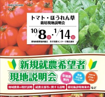 【新規就農希望者向け】新城市　トマト・ほうれん草　栽培現地説明会 | 地域のトピックス