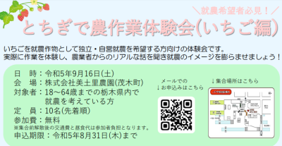 とちぎで農作業体験会（いちご編）開催します！ | 地域のトピックス