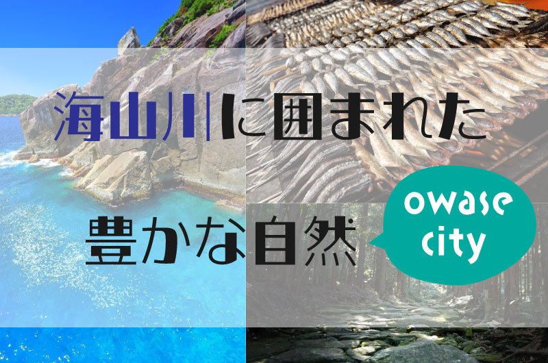 海山川に囲まれた豊かな自然　三重県尾鷲市 | 地域のトピックス