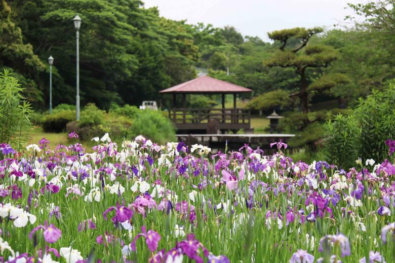 【大崎町】地域おこし協力隊募集(手話の普及、福祉のまちづくり） | 地域のトピックス