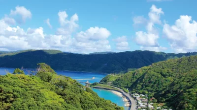 【大和村】地域おこし協力隊募集(集落長屋プロジェクト） | 地域のトピックス