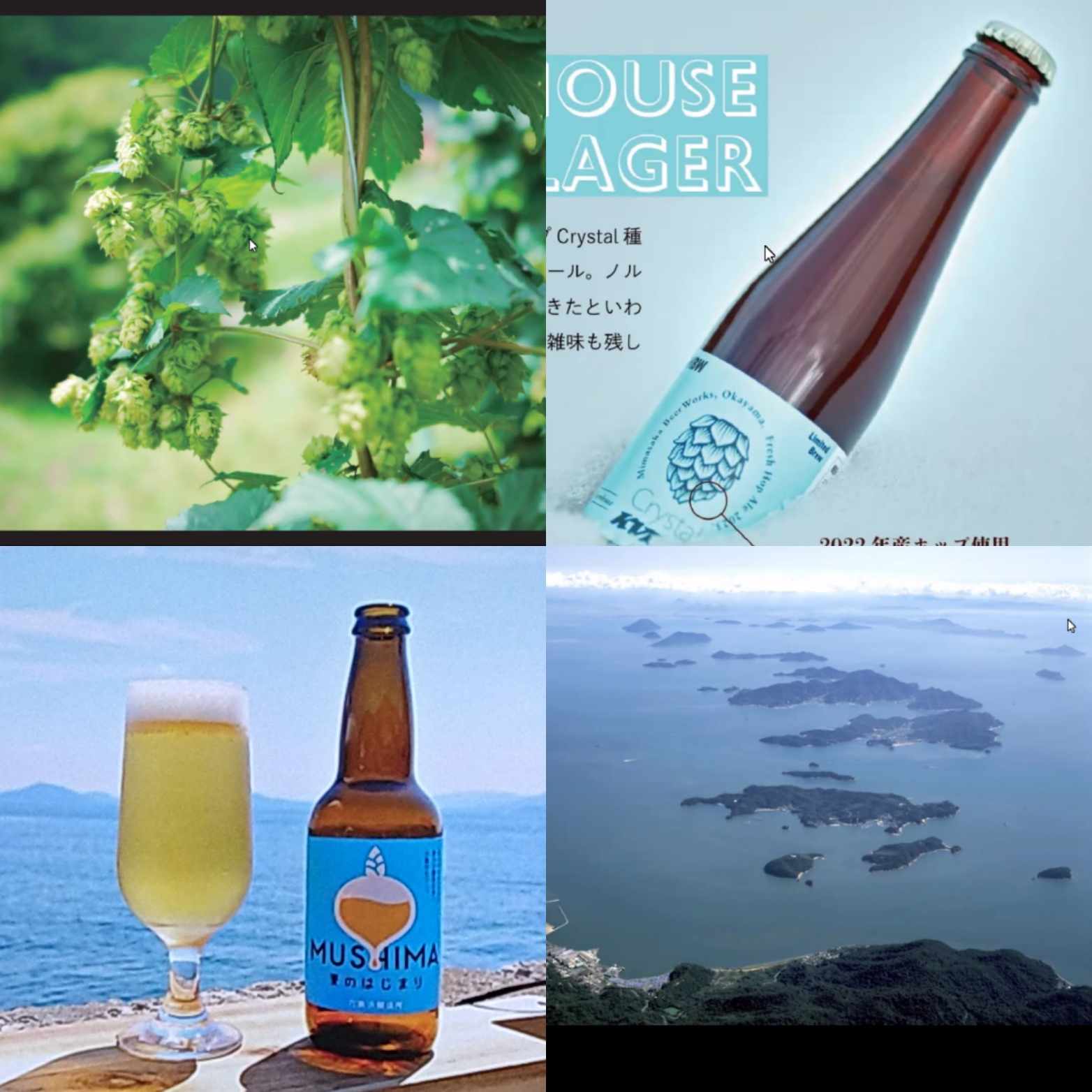 「CRAFTBEER~晴れの国のテロワール~」移住セミナーを開催しました♪ | 地域のトピックス