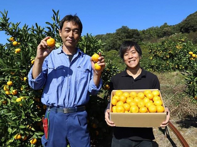 【香南市ワーキングホリデー】甘～い山北みかんの収穫体験を通じて、香南市の暮らしを体験しませんか？ | 地域のトピックス