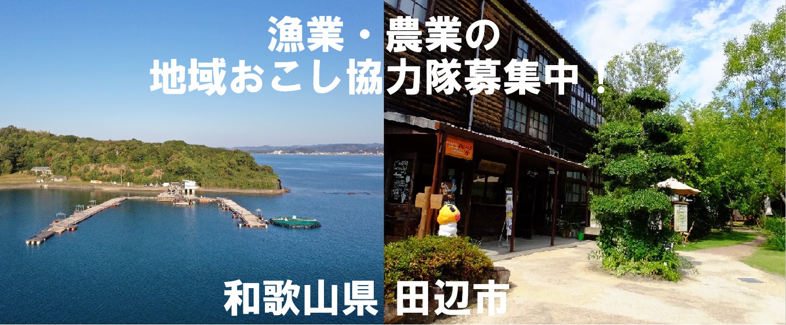 【田辺市】漁業・農業で地域活性化に取り組む地域おこし協力隊を募集中！ | 地域のトピックス