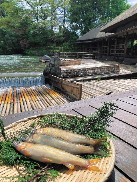 甲佐町　地域おこし協力隊募集【教育関連 2名】 | 地域のトピックス