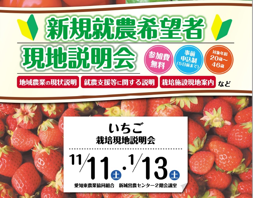 【新規就農希望者向け】愛知県新城市 いちご 栽培現地説明会 | 地域のトピックス