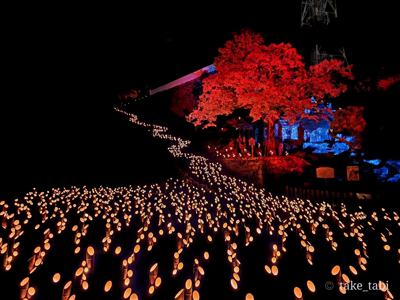 秋の幻想的な竹の灯祭り -11月の週末は各地で開催!! | 地域のトピックス