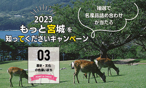 2023  もっと宮城を知ってくださいキャンペーン vol.3 | 地域のトピックス