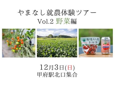 やまなし就農体験ツアー（野菜編） | 移住関連イベント情報