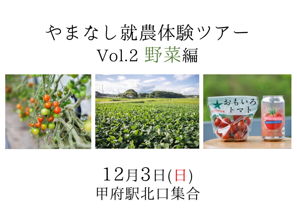 やまなし就農体験ツアー(野菜編) | 移住関連イベント情報