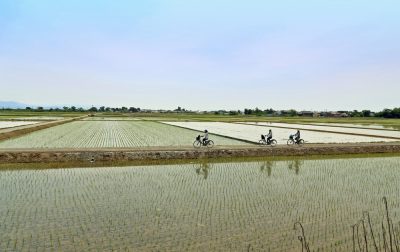 渋谷スクランブルスクエアにて開催中　田んぼと暮らしがつながって～滋賀・長浜～ | 地域のトピックス