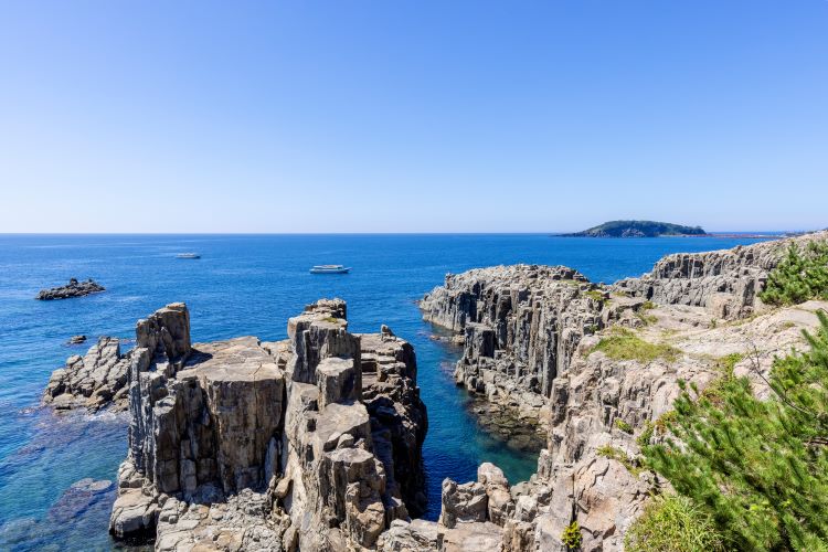 『結婚応援日本一都市』を宣言した坂井市の人口減少対策とは?(福井県坂井市) | 地域のトピックス