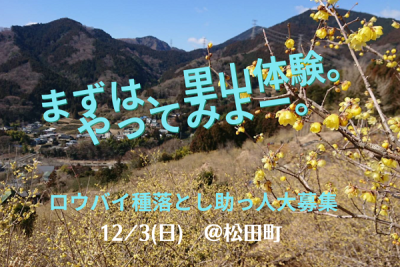 【松田町】ロウバイ種落とし助っ人募集！鹿シチューと焚き火で交流会も。 | 移住関連イベント情報