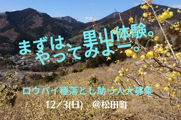 【松田町】ロウバイ種落とし助っ人募集!鹿シチューと焚き火で交流会も。 | 移住関連イベント情報