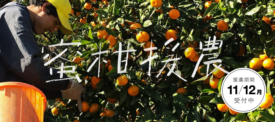 田舎暮らし×農業体験×地域支援!「蜜柑援農」今年も参加者募集中! | 移住関連イベント情報