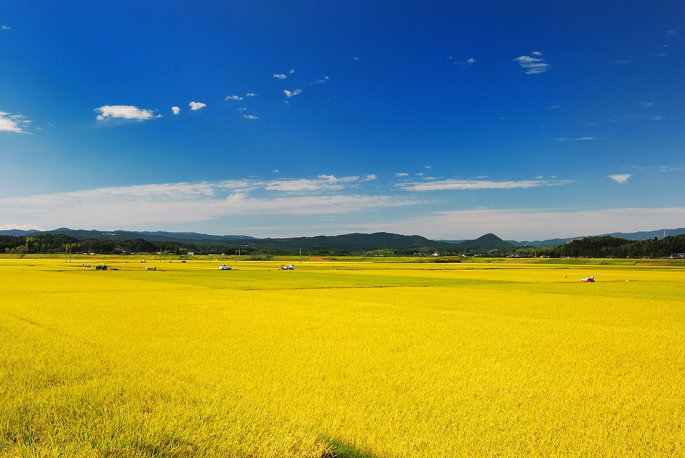 【鹿児島県伊佐市】地域おこし協力隊募集 | 地域のトピックス
