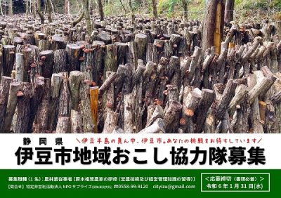 伊豆市地域おこし協力隊募集！（椎茸農家）1/31必着 | 地域のトピックス