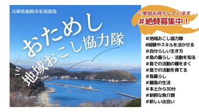 【〆切まもなく！】世界遺産「姫路城」を有する兵庫県姫路市が、「おためし地域おこし協力隊」を開催します！ | 地域のトピックス
