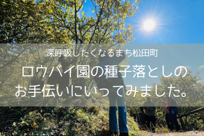 【松田町】ロウバイ園の種子落としお手伝い！鹿シチューと、焚き火と、焼き芋と。深呼吸したくなる時間。 | 地域のトピックス