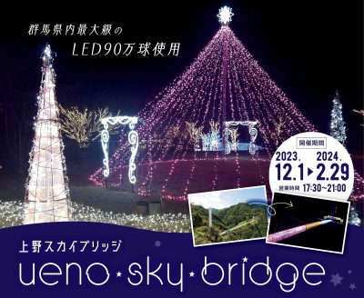 【上野村 スカイブリッジ】群馬県内最大規模のイルミネーション開催中 | 地域のトピックス