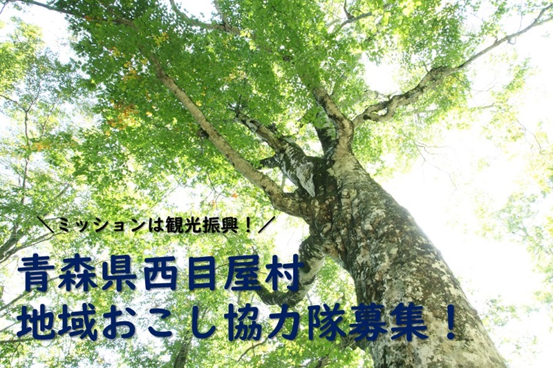 青森県西目屋村地域おこし協力隊（観光振興実施隊員）募集！ | 地域のトピックス