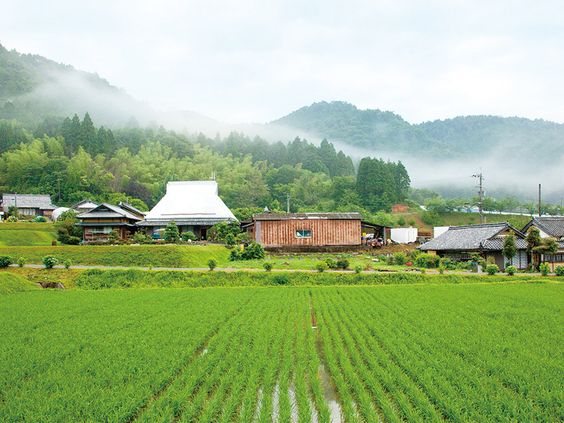 【かつらぎ町】まるで日本昔話の世界!懐かしさあふれる里山暮らし | 地域のトピックス