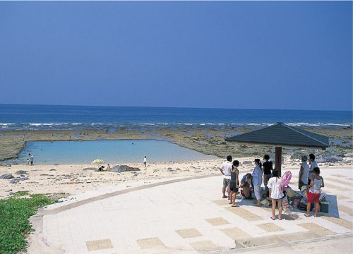 【十島村】地域おこし協力隊募集！ | 地域のトピックス