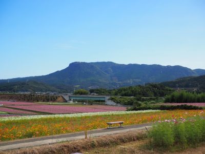 大分県中津市　地域おこし協力隊募集 | 地域のトピックス