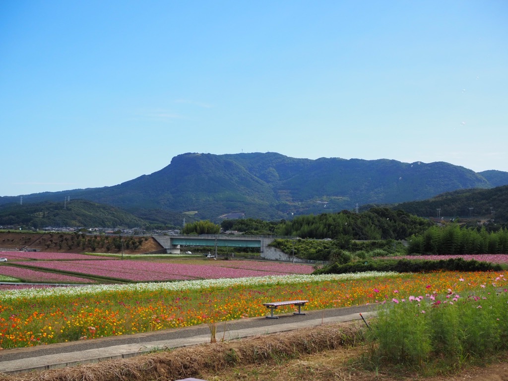 大分県中津市 地域おこし協力隊募集 | 地域のトピックス