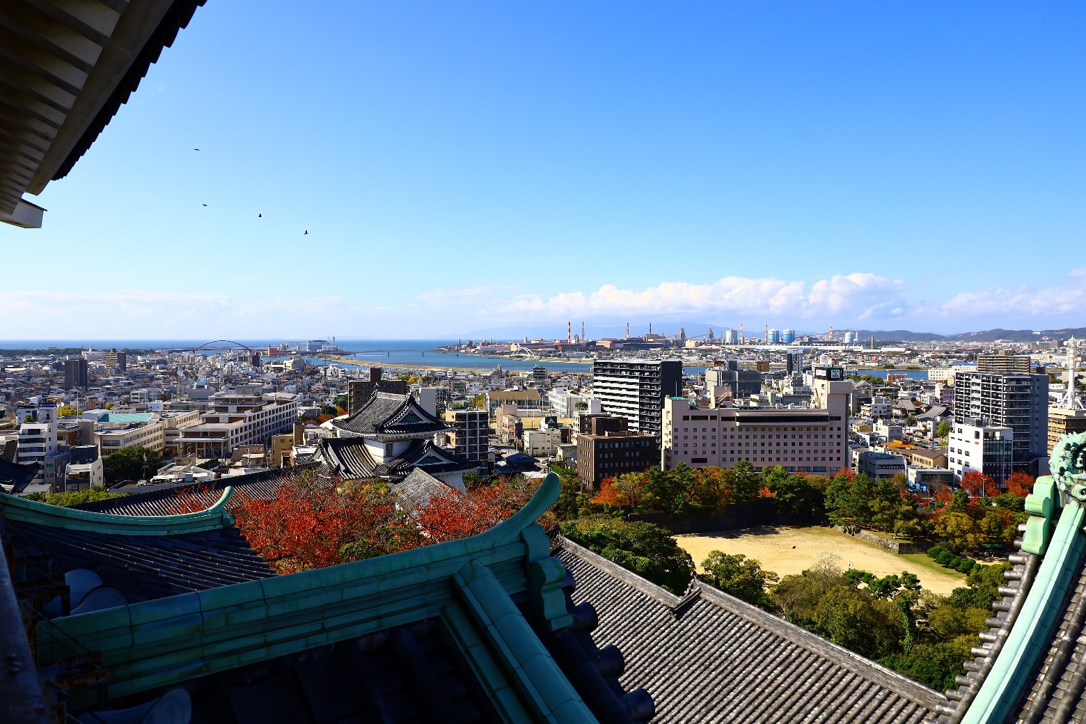【和歌山市】 関空に一番近い中核都市!自然も歴史もあるトカイナカ | 地域のトピックス