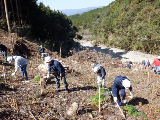 湯前町 地域おこし協力隊募集【林業振興 1名】 | 地域のトピックス