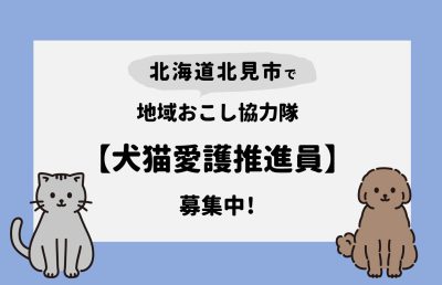 【北海道 北見市】地域おこし協力隊（犬猫愛護推進員） 募集 | 地域のトピックス