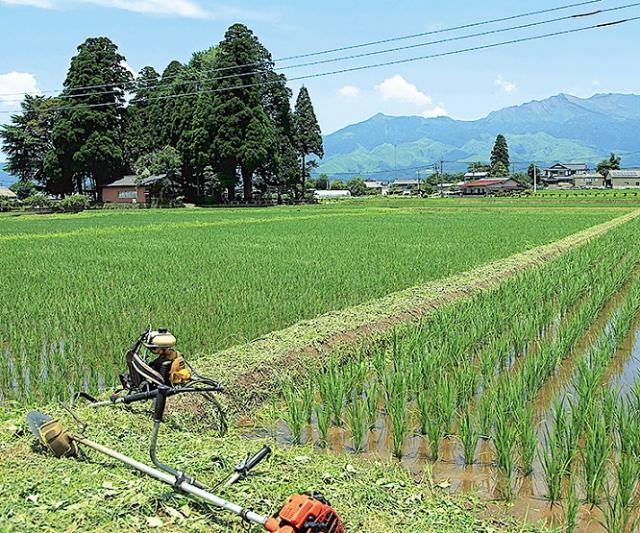 南阿蘇村 地域おこし協力隊員募集【新規就農プロジェクト 5名】 | 地域のトピックス