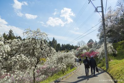 【出張レポート7】豊田市の山里移住ならまずここへ！「おいでん・さんそんセンター」へ行ってきました | 地域のトピックス