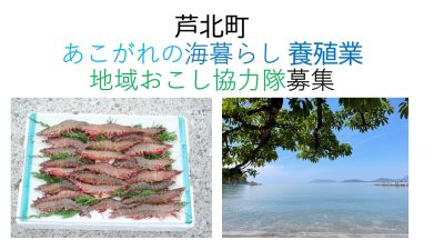 芦北町 地域おこし協力隊 【水産業（養殖)1名】 | 移住関連イベント情報