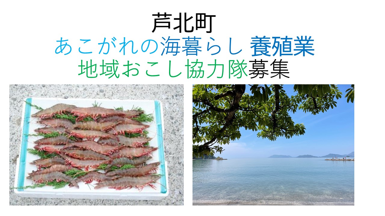芦北町 地域おこし協力隊 【水産業（養殖)1名】 | 移住関連イベント情報