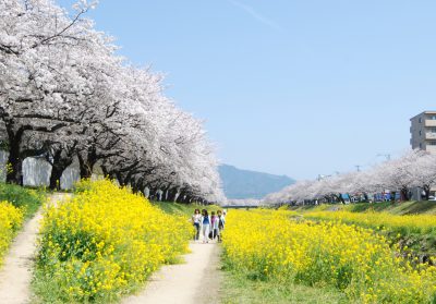 【出張レポート6】あの演歌歌手のお墨付き⁉ “豊かで住みやすい”豊川市に行ってきました！ | 地域のトピックス