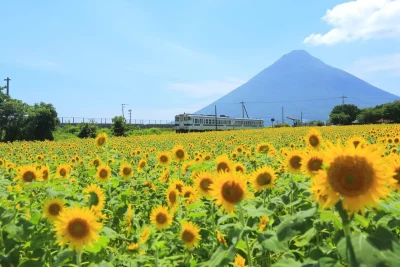 【指宿市】地域おこし協力隊募集！(移住コンシェルジュ担当） | 地域のトピックス