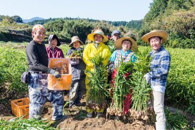 高知県産の生姜を全国の食卓へ！株式会社あさの | 地域のトピックス