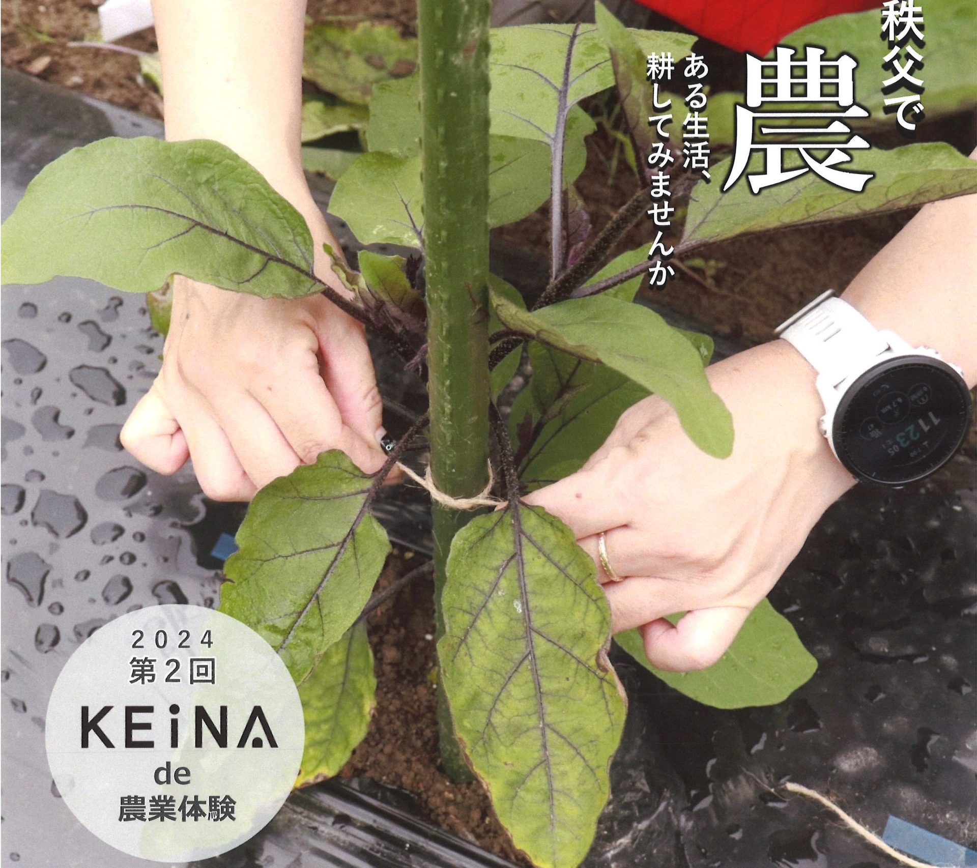 ＼秩父／ 2024年第2回 KEiNA de 農業体験 | 地域のトピックス