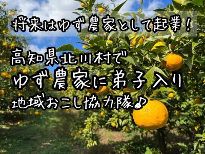 【北川村】ゆずの産地で「ゆず農家」を目指す/地域おこし協力隊を募集します！ | 地域のトピックス