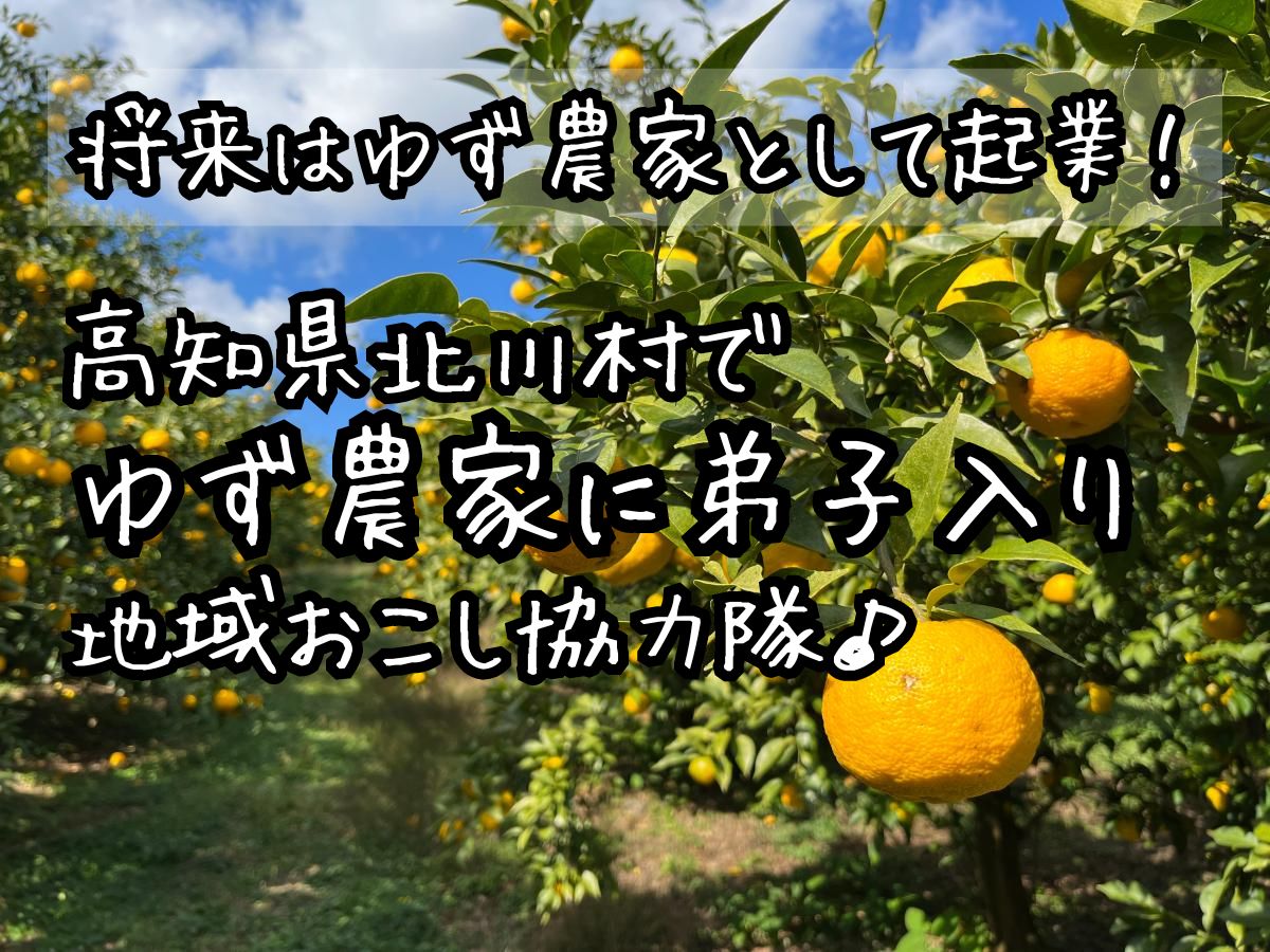 【北川村】ゆずの産地で「ゆず農家」を目指す/地域おこし協力隊を募集します! | 地域のトピックス