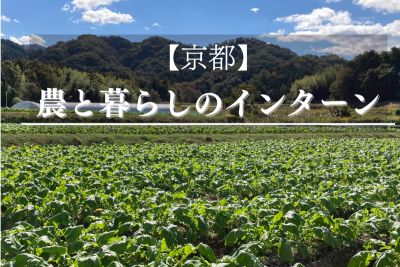 【農業×就職×移住体験】京都・農と暮らしのインターン　2024.春～ | 移住関連イベント情報