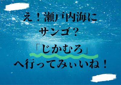 おいでませ！ “じかむろ” へ！！ | 地域のトピックス