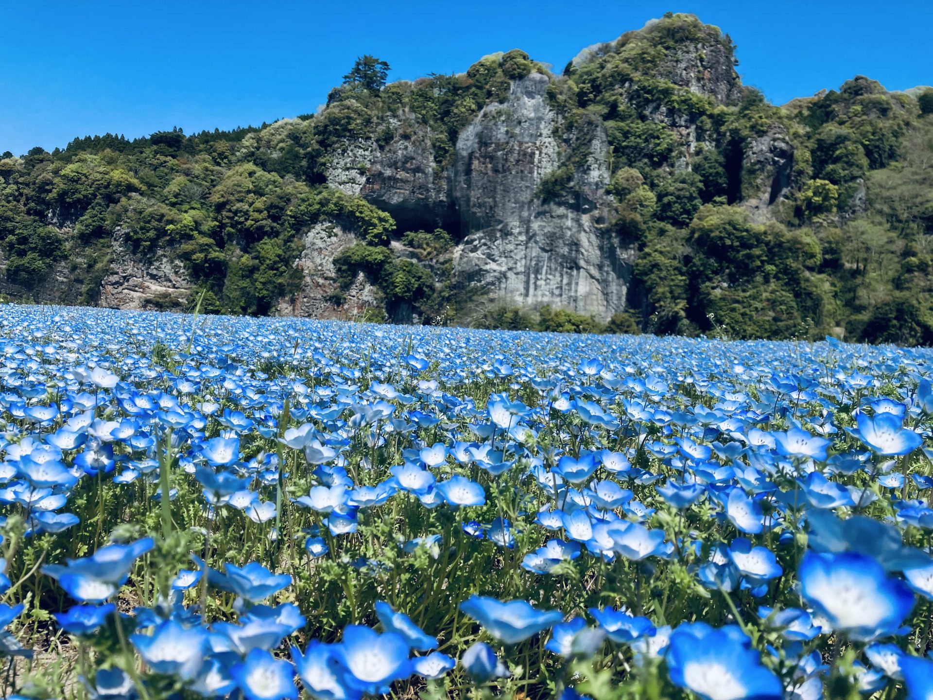 大分県中津市 地域おこし協力隊募集 | 地域のトピックス